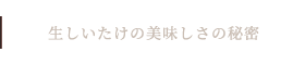 生しいたけの美味しさの秘密